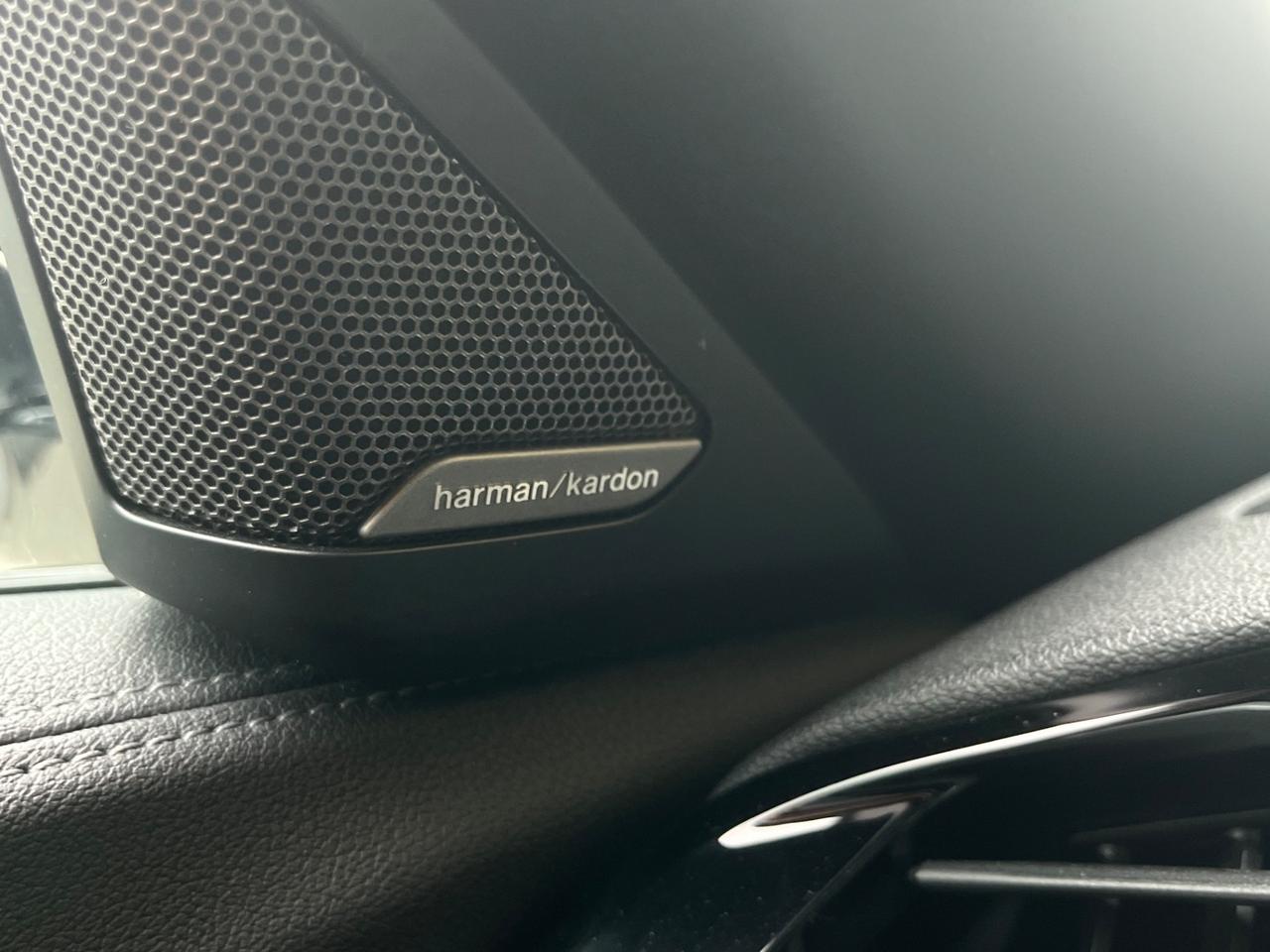 Bmw Z4 sDrive20i Msport PADDLE NAVY HARMAN KARDON