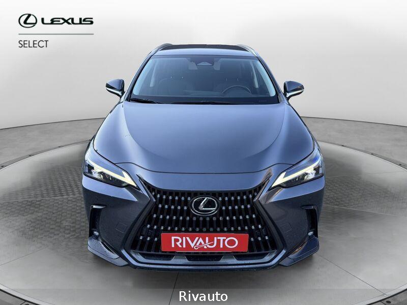 Lexus NX NX Plug-in 4WD Premium +