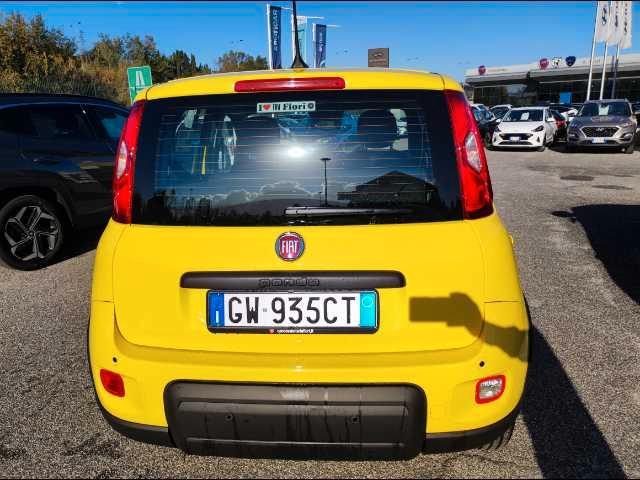 FIAT Panda III 2024 - Panda 1.0 firefly hybrid s&s 70cv