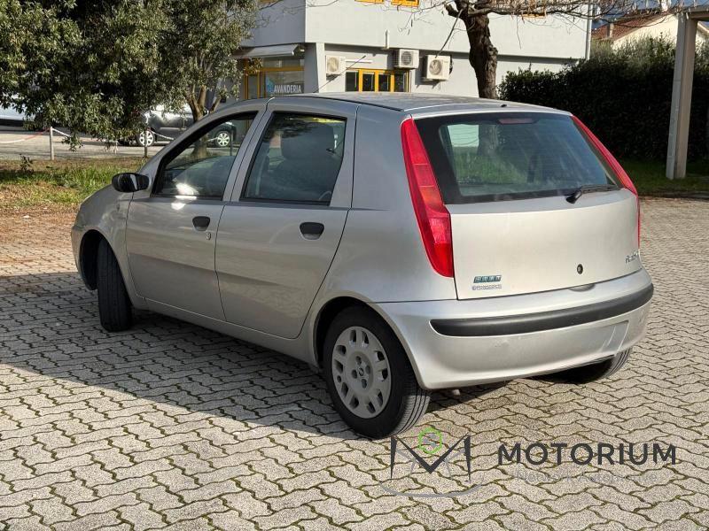 Fiat Punto 5 Porte Punto 5p 1.2 Feel