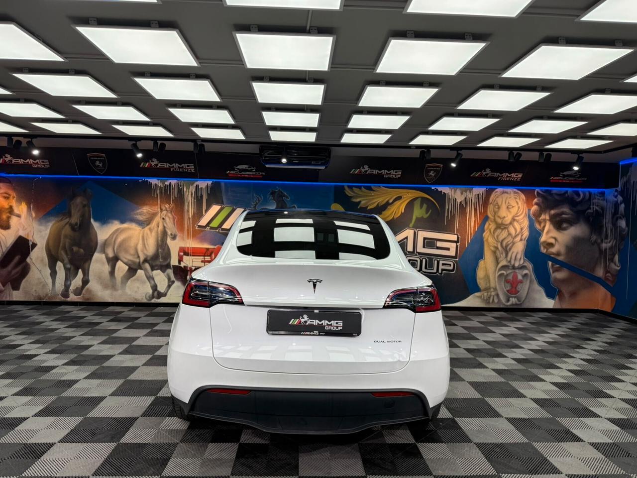 Tesla Model Y Long Range AWD (892)