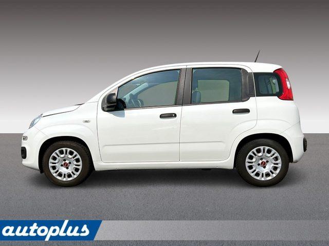 FIAT Panda 1.0 Mild Hybrid Urban