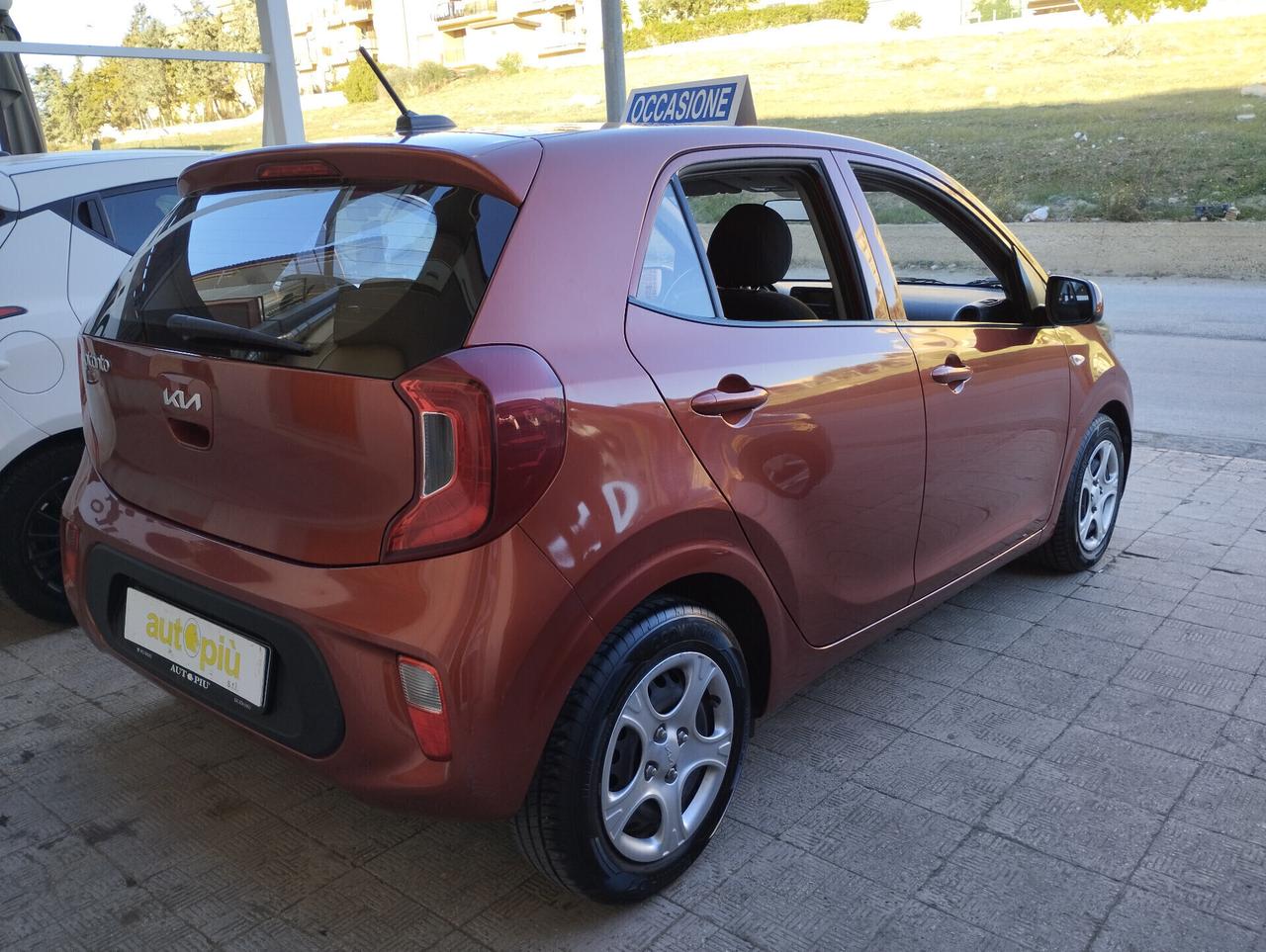 Kia Picanto 1.0 12V 5 porte Urban