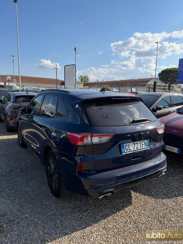 FORD Kuga 1.5 EcoBlue 120 CV 2WD Titanium Business