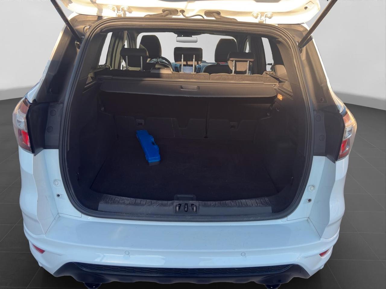 Ford Kuga 1.5 TDCi 120cv ST-Line COME NUOVA