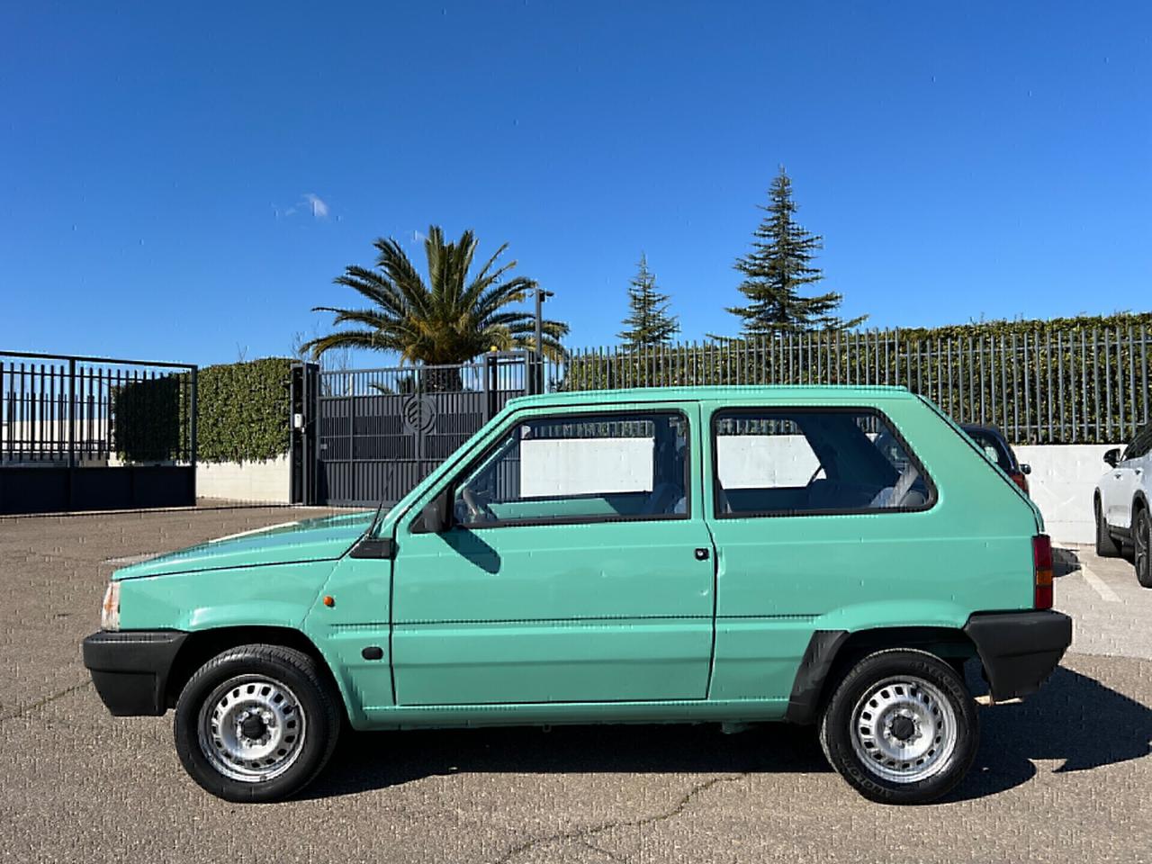 Fiat Panda 900 Benzina Young - 1999