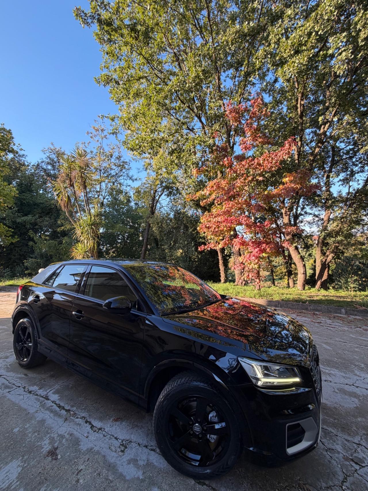 Audi Q2 1.6 S TRONIC 115CV IDENTITYBLACK