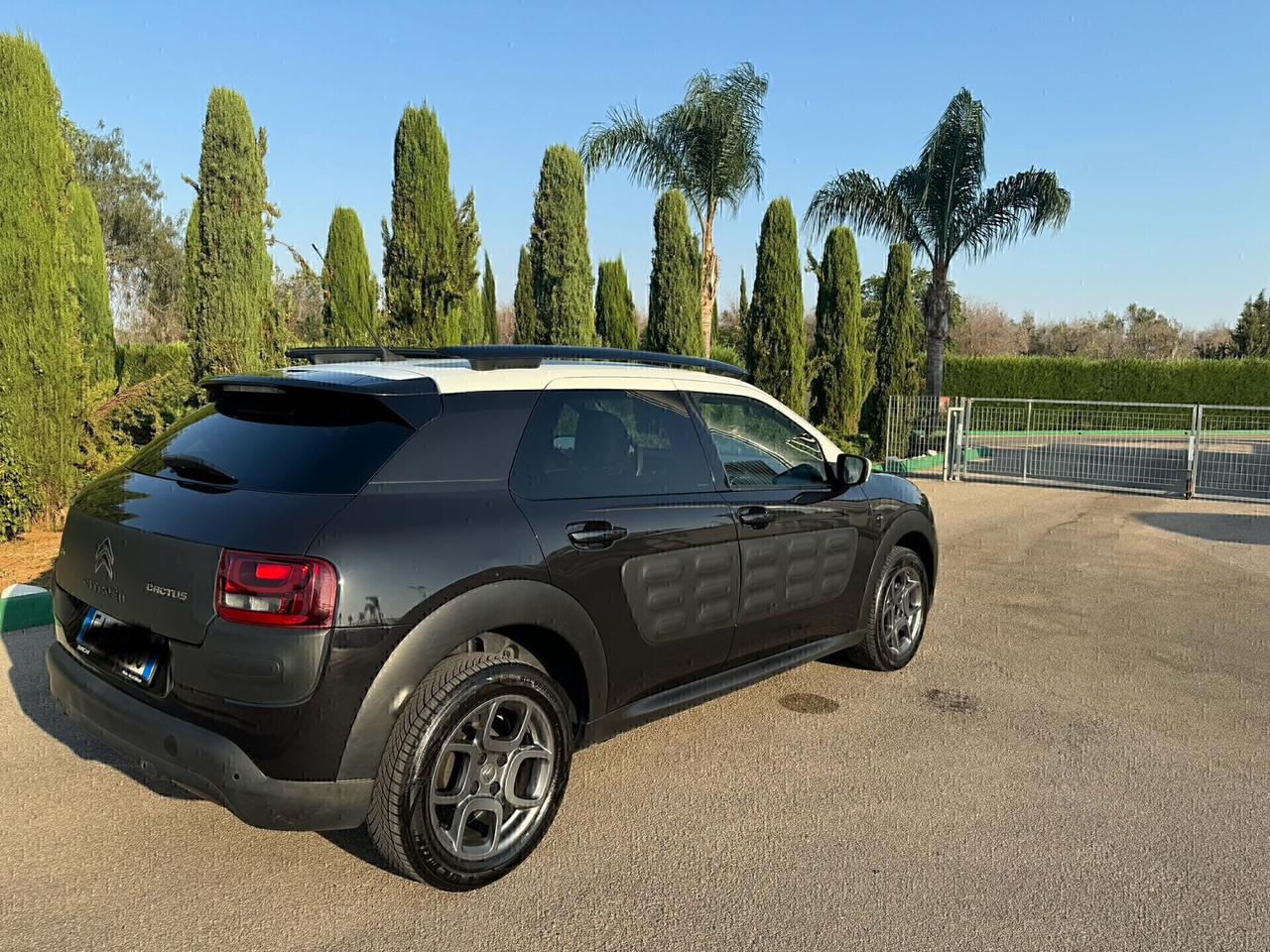 Citroen C4 Cactus PureTech 110 S&S Feel