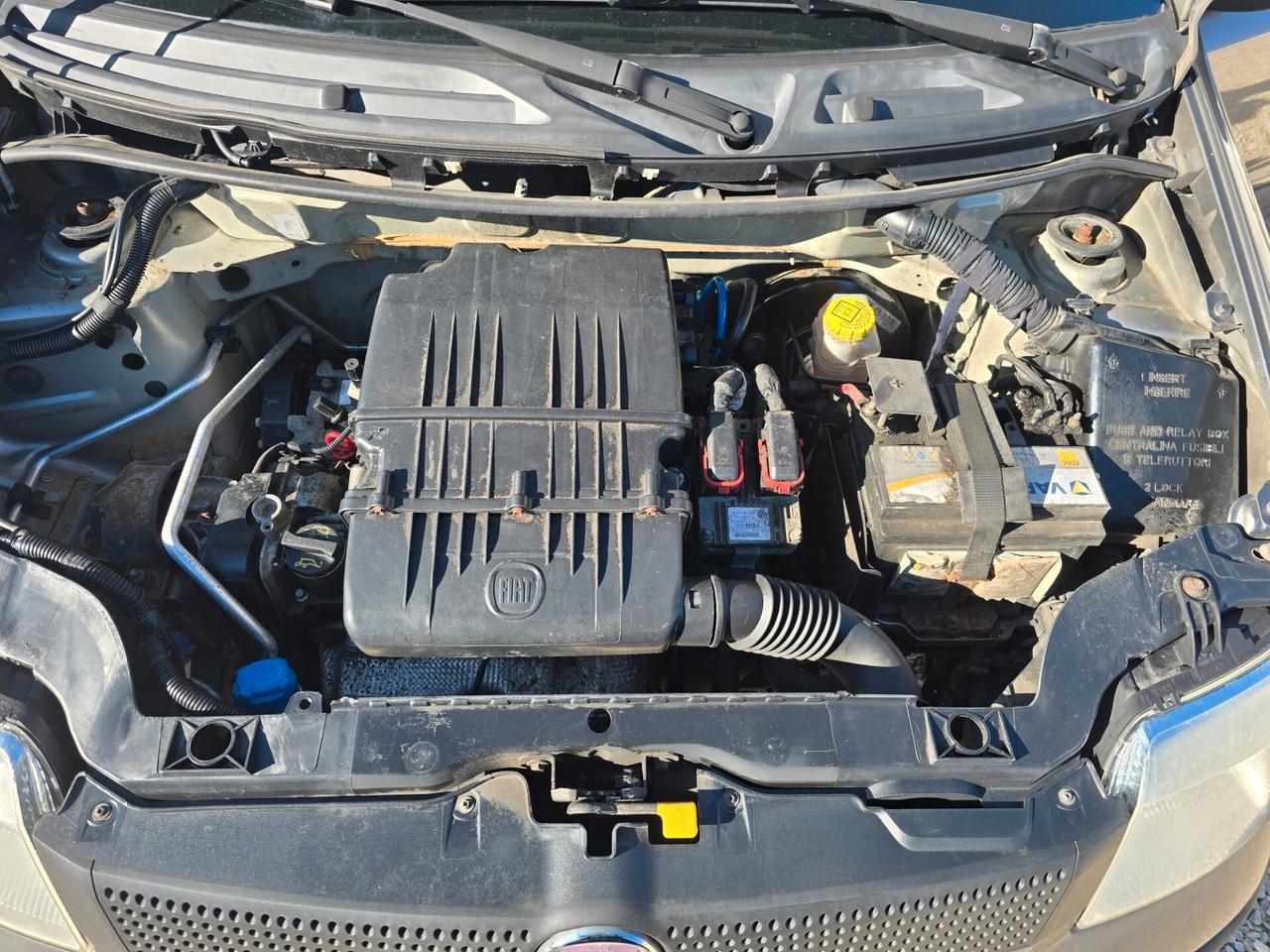 Fiat Panda 1.2 Emotion benzina