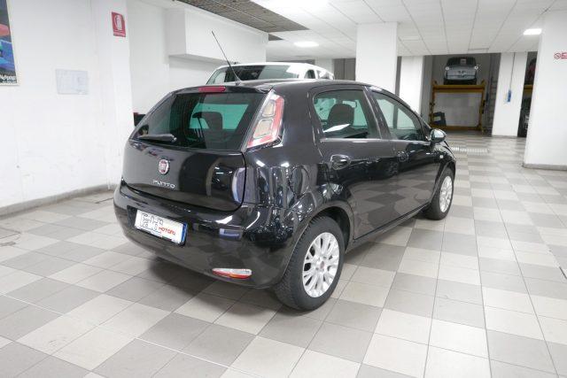 FIAT Punto 1.4 8V 5 porte Easypower Young