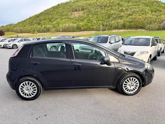 FIAT Punto Evo PUNTO 1.3 MJT 85CV 5P LOUNGE OK NEOPATENTATO