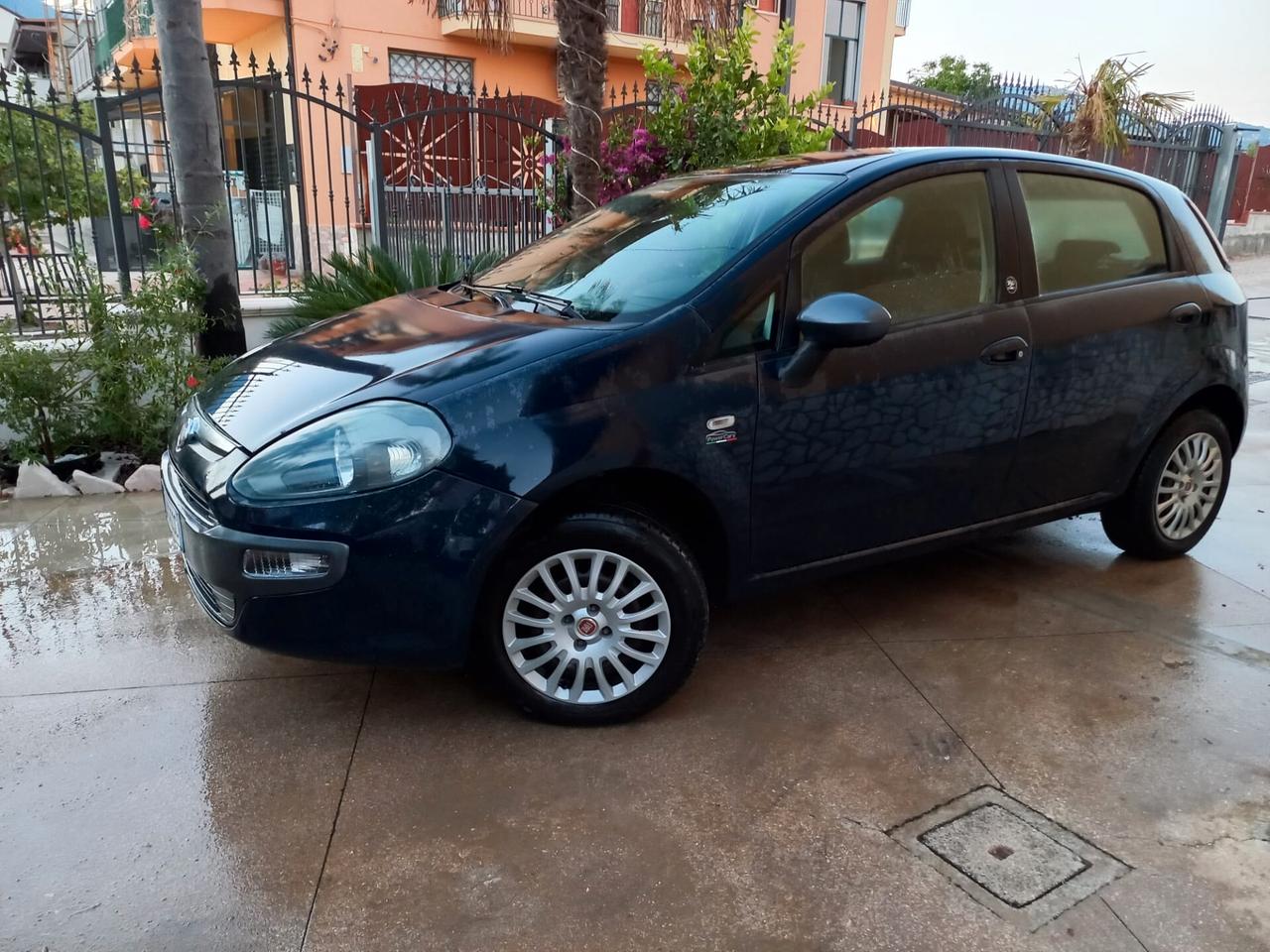 Fiat Punto Evo Punto Evo 1.4 5 porte Active Natural Power