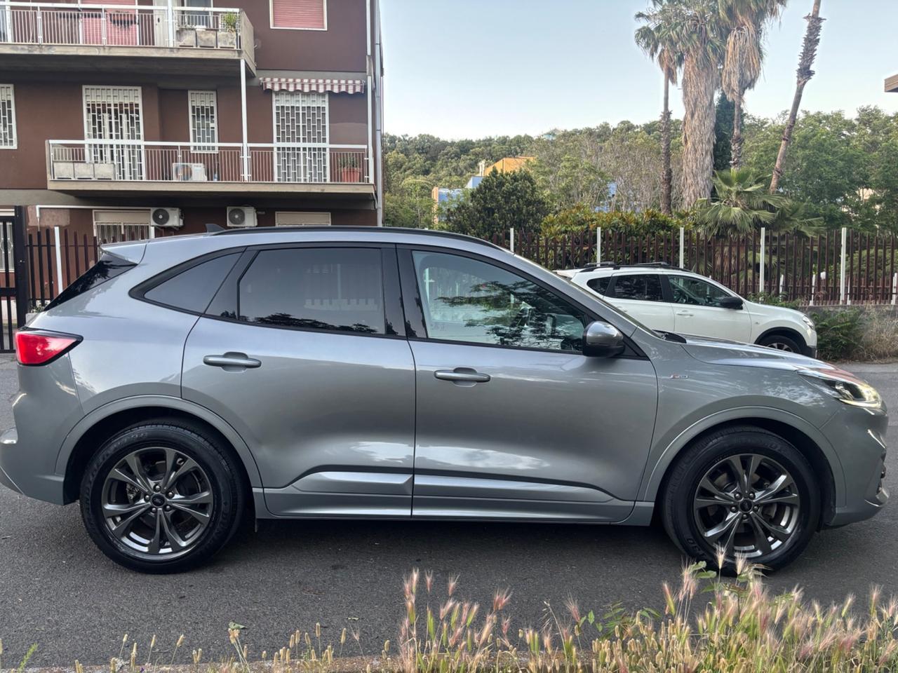 Ford Kuga 2022 1.5 EcoBlue 120 CV ST-Line X