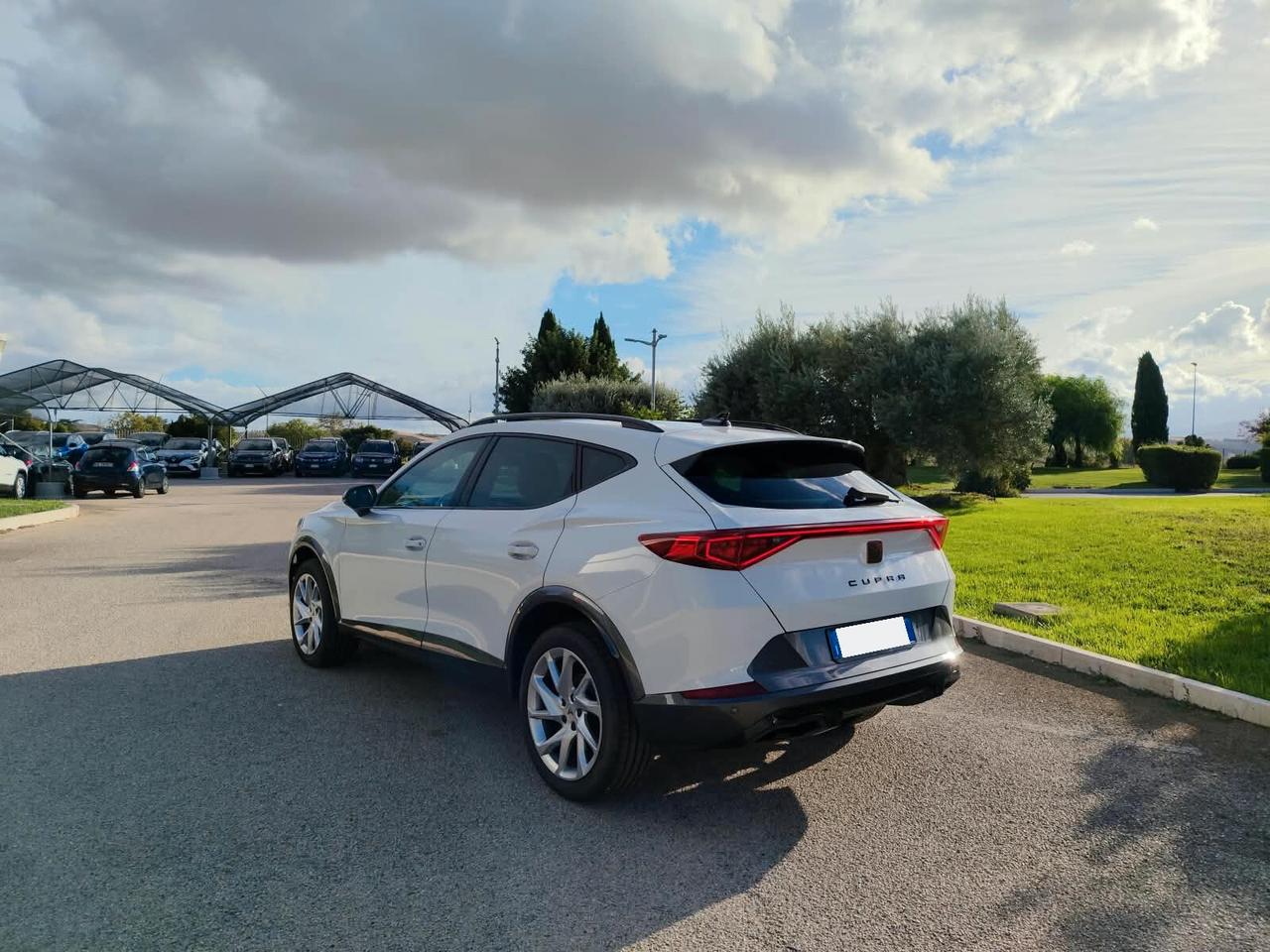 Cupra Formentor 2.0 TDI 4Drive DSG