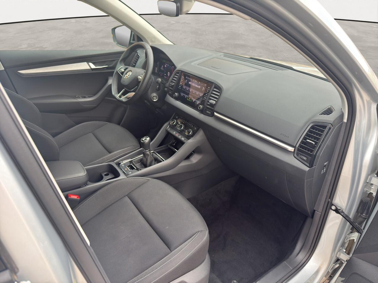 Skoda Karoq 2.0 TDI 115 CV Executive - 2024