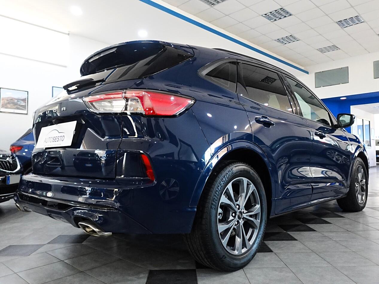 Ford Kuga 2.0 EcoBlue 120 CV POWERSHIFT ST LINE
