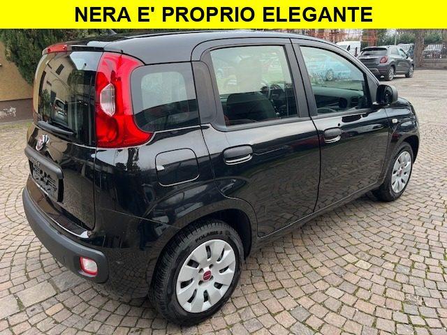 FIAT Panda 1.2 Neopatentati Euro 6