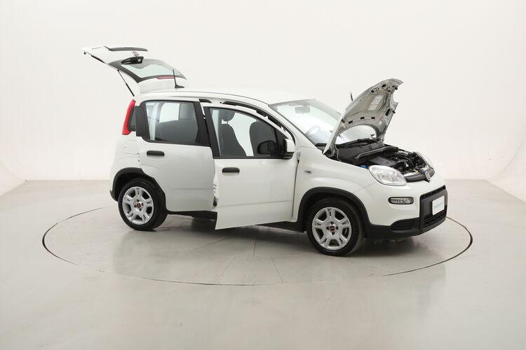 Fiat Panda Hybrid BR249275 1.0 Mild Hybrid 70CV
