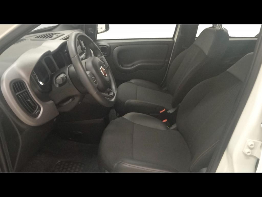 FIAT Panda III 2021 - Panda 1.0 firefly hybrid Sport s&s 70cv