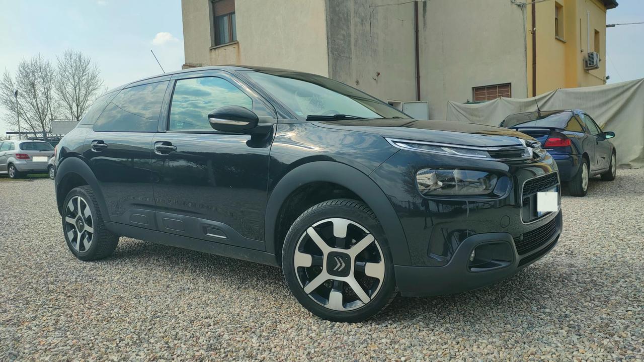 Citroen C4 Cactus 1.6 bluehdi Shine s&s 100cv