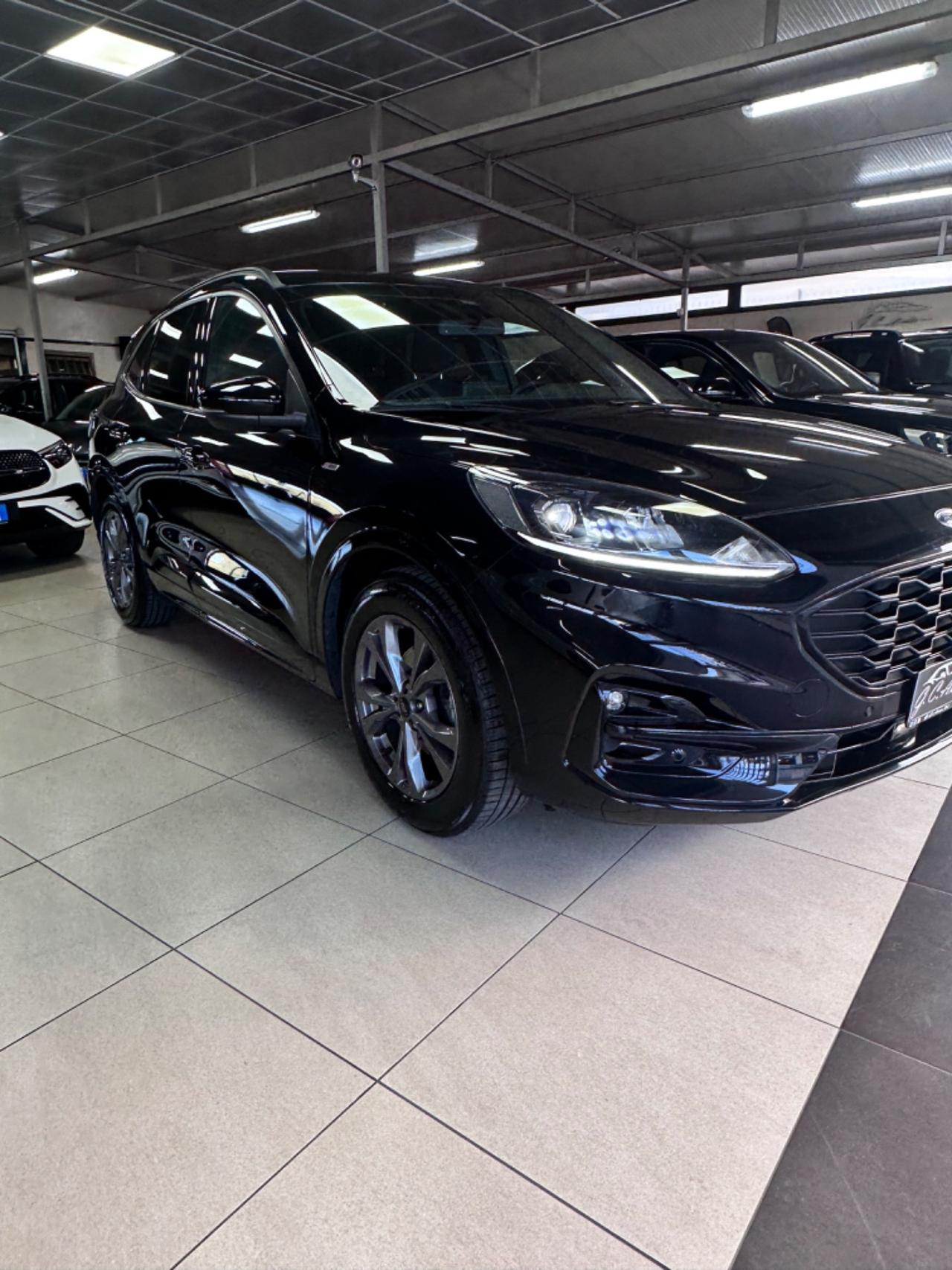 Ford Kuga 1.5 EcoBlue 120 CV 2WD ST-Line 2021