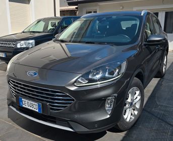 Ford Kuga 2.0 EcoBlue Hybrid 150 CV 2WD Titanium Business