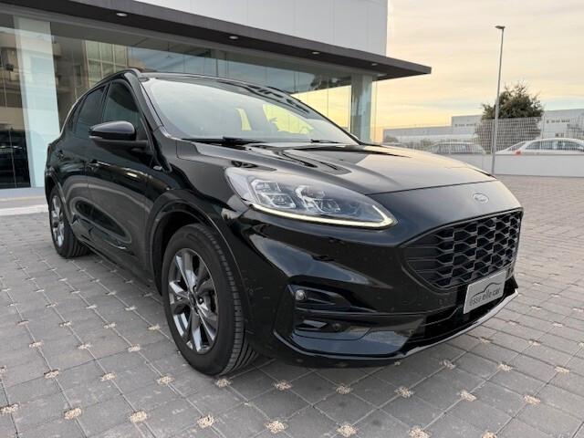 Ford Kuga 1.5 EcoBlue 120 CV 2WD ST-Line X 2020