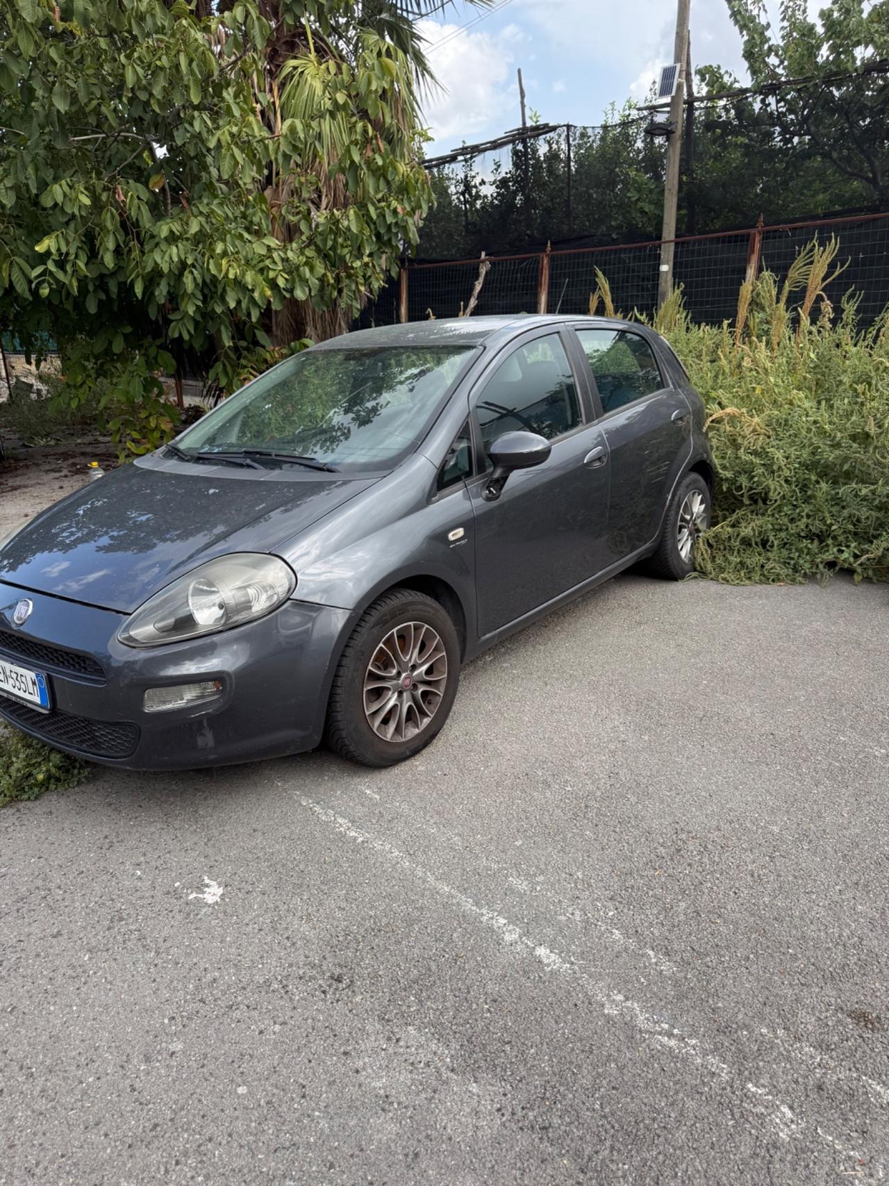 Fiat Punto Evo 1.3 Mjt 95 CV DPF 5 porte S&S Dynamic