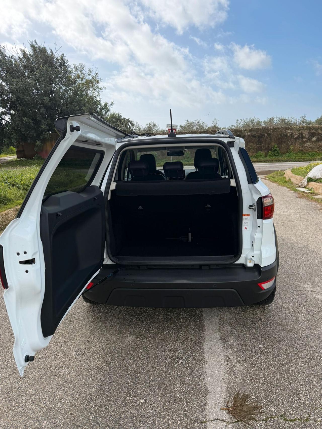 Ford EcoSport 1.0 EcoBoost 125 CV Start&Stop Active