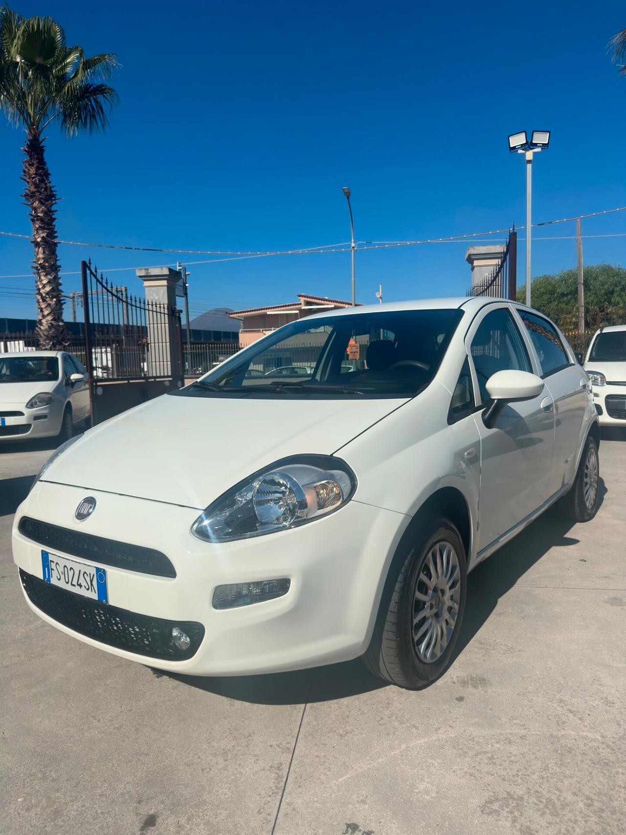 Fiat Punto 1.4 8V 5 porte Natural Power Street