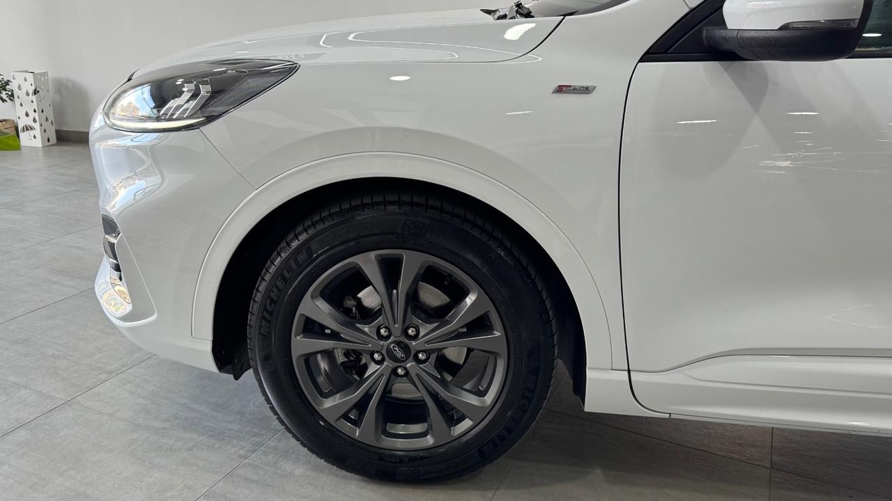 Ford Kuga 1.5 EcoBlue 120 CV 2WD ST-Line X-2021