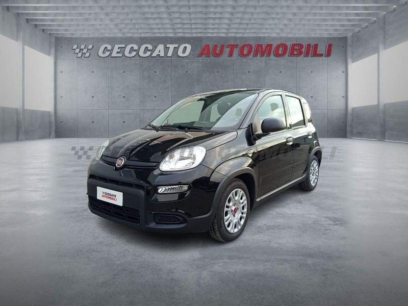 FIAT Panda Panda 1.0 firefly hybrid s&s 70cv