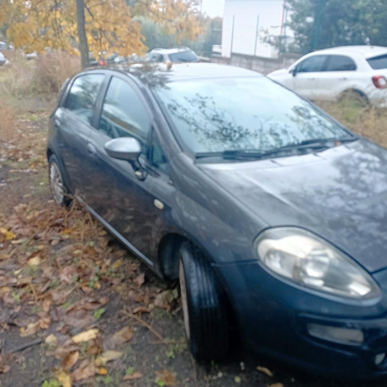 Fiat Punto Evo Punto Evo 1.3 Mjt 75 CV 5 porte Dynamic