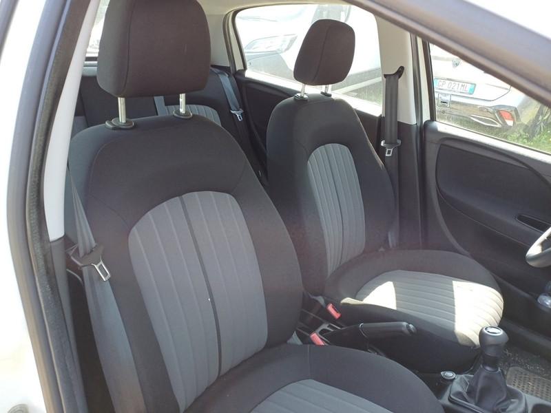 FIAT PUNTO 1.3 MULTIJET STREET 95 CV SES EU6 5 PORTE BERLINA