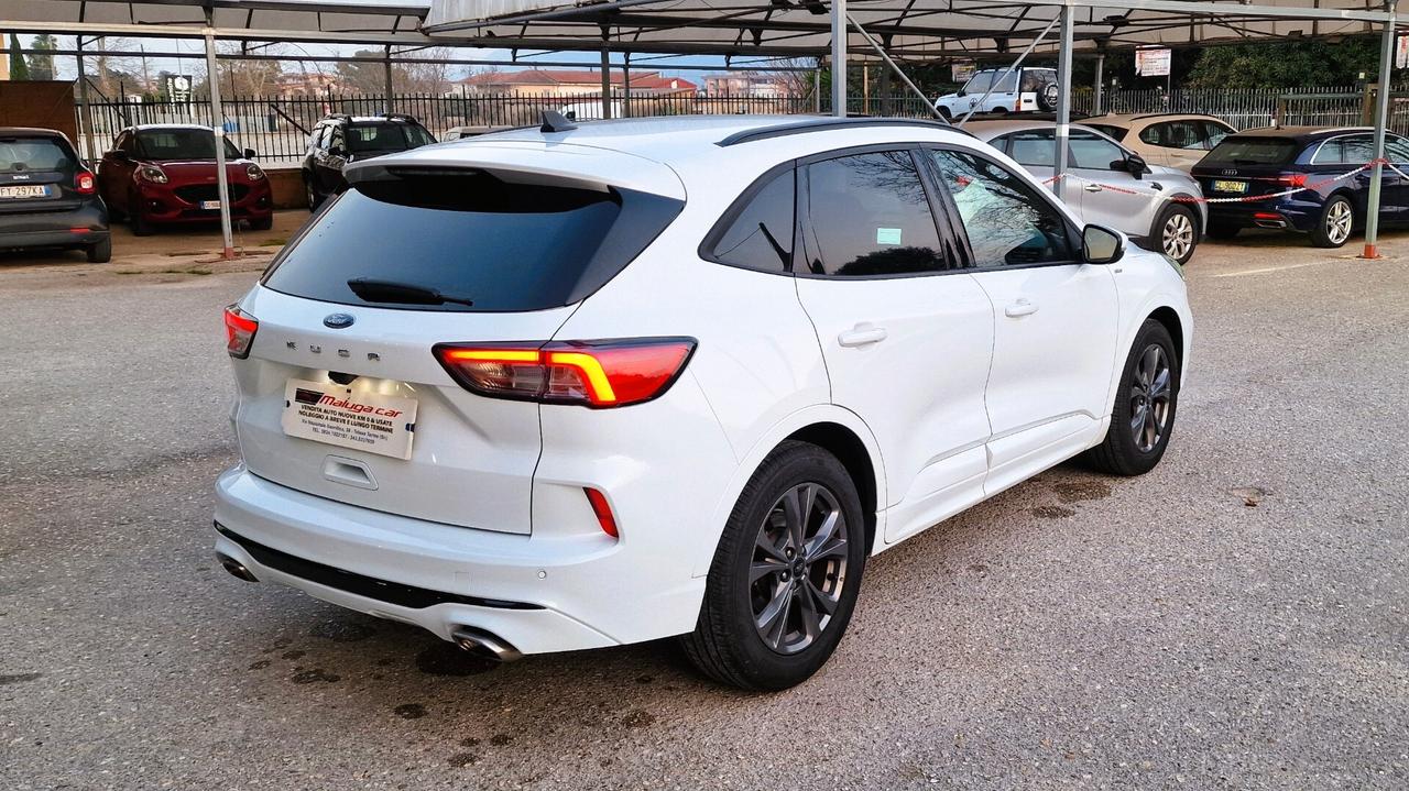 Ford Kuga 1.5 EcoBlue 120 CV 2WD ST-Line