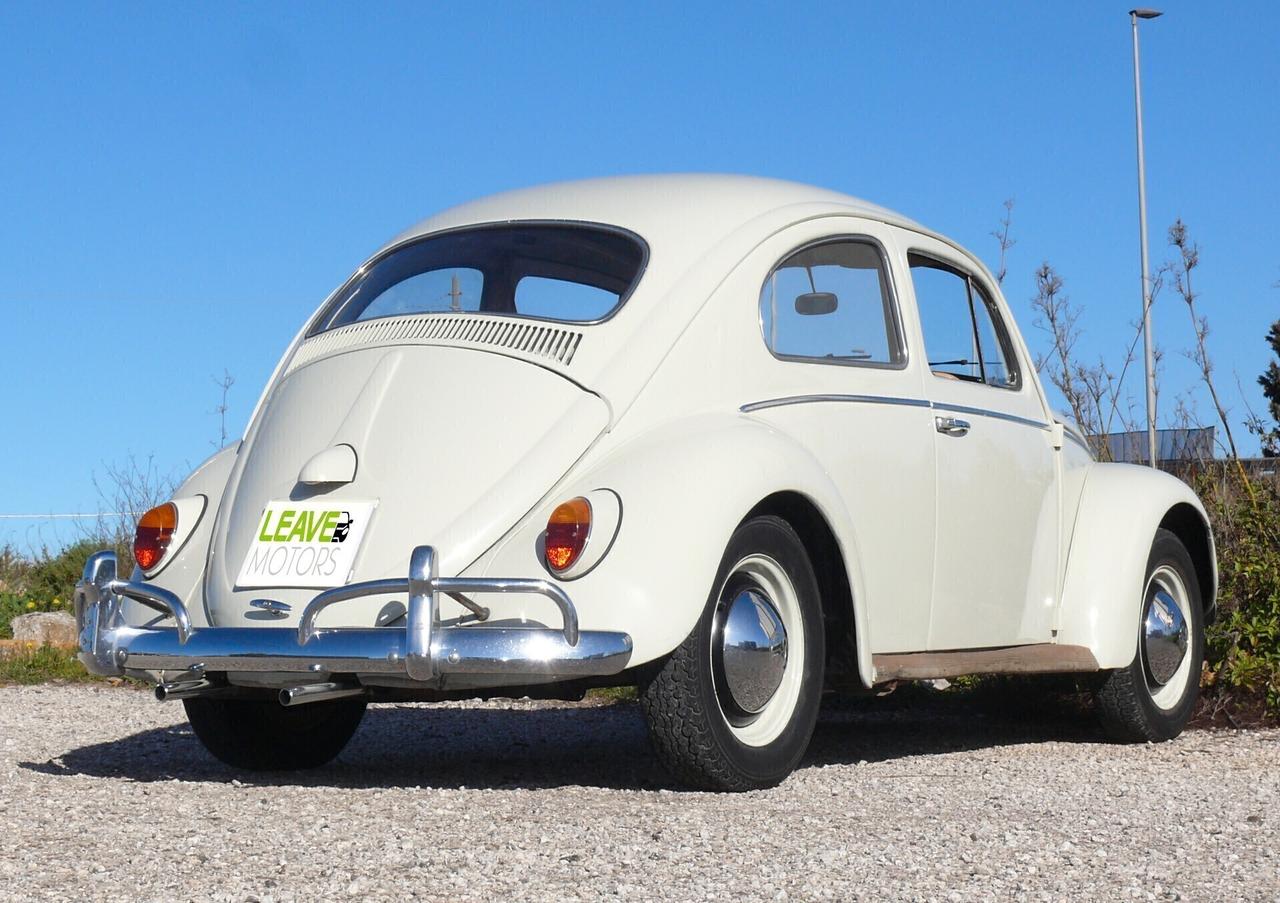 Volkswagen Maggiolino VETRO PIATTO (M1260)