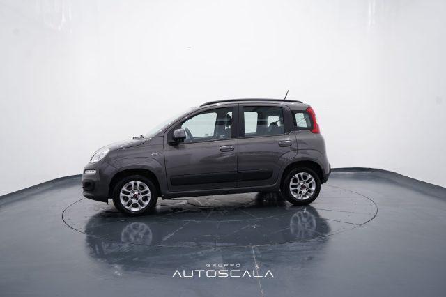 FIAT New Panda 1.0 FireFly City Life S&S Hybrid