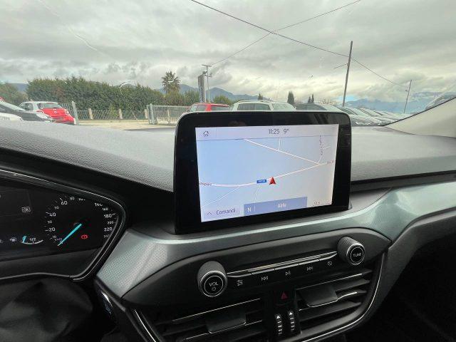 FORD Focus 1.5 EcoBlue 120 CV 5p. Business