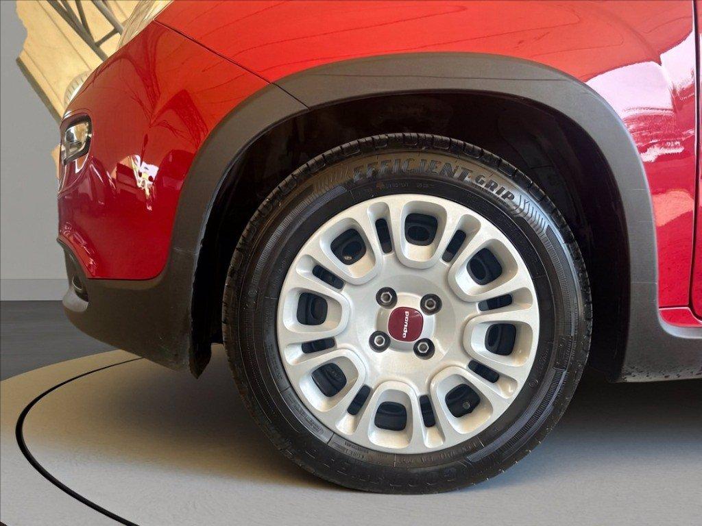FIAT Pandina 1.0 firefly hybrid Icon s&s 70cv del 2024