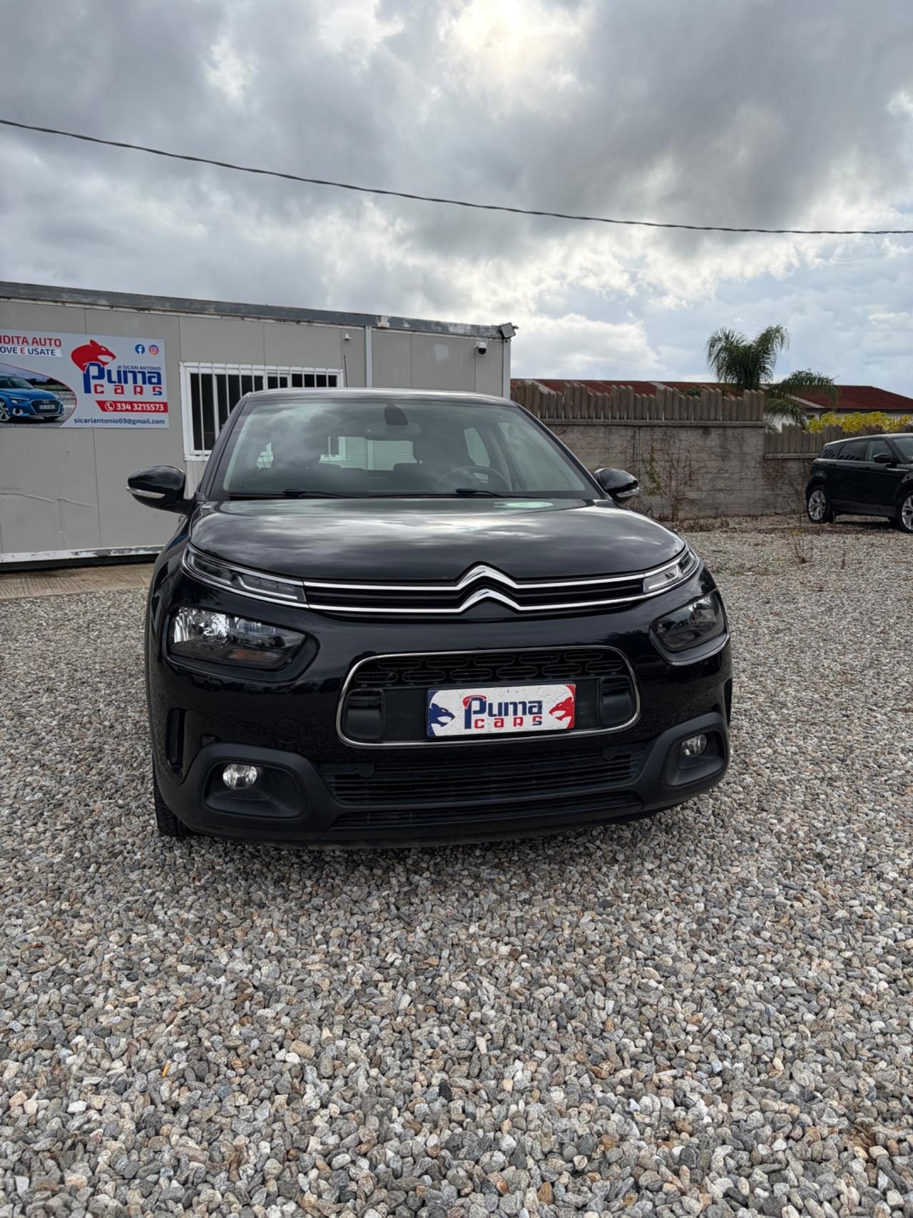 Citroen C4 Cactus BlueHDi 100 S&S Shine Pack