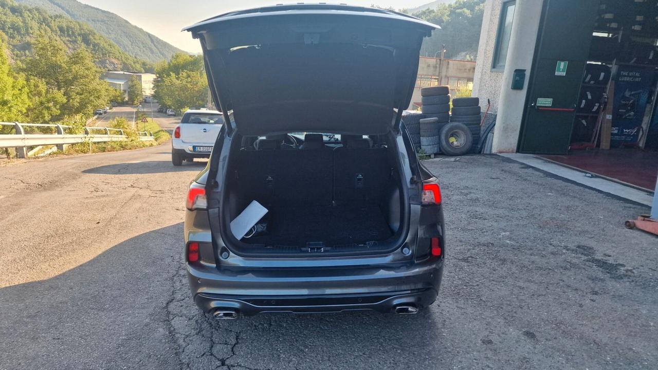 Ford Kuga 1.5 EcoBlue 120 CV 2WD ST-Line