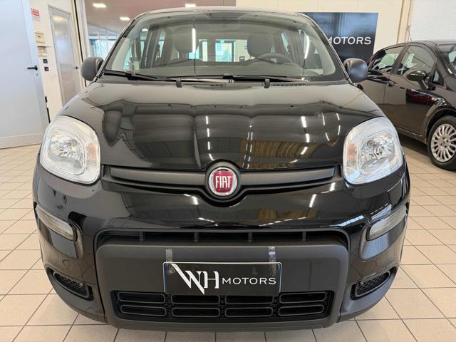 FIAT Panda 1.0 FireFly S&S Hybrid "PARI AL NUOVO"