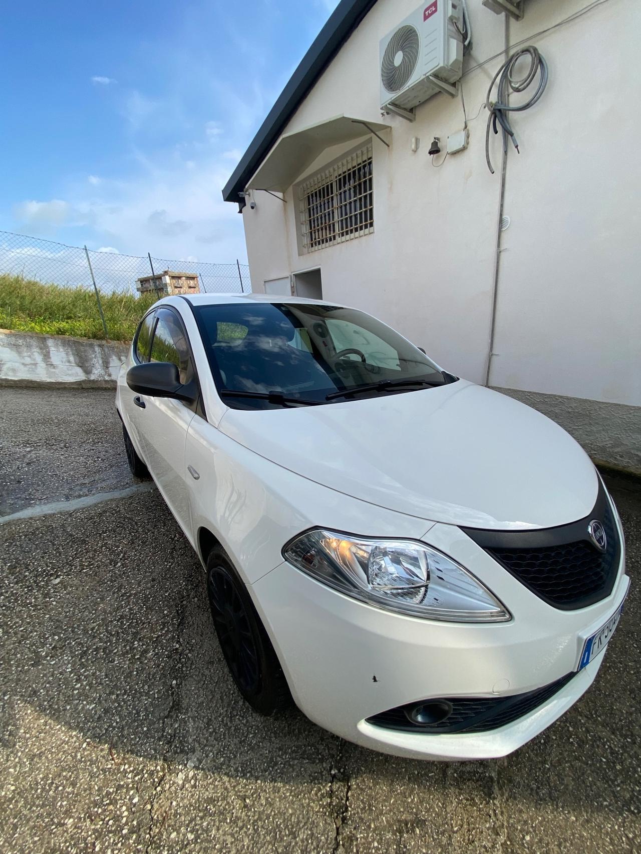 Lancia Ypsilon 1.2 69 CV 5 porte Elefantino