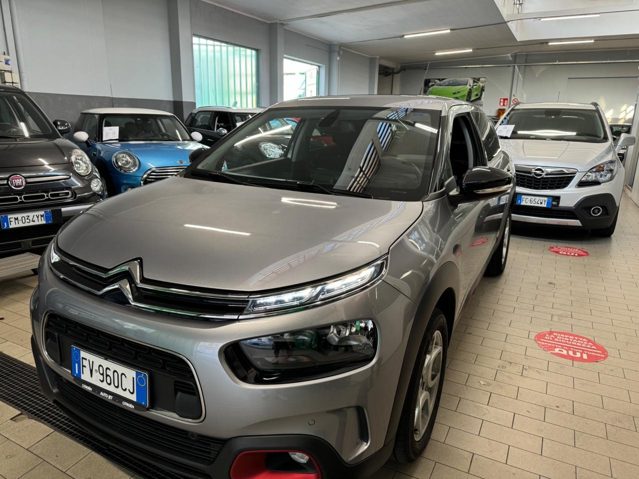 Citroen C4 Cactus 110cv Shine automatica