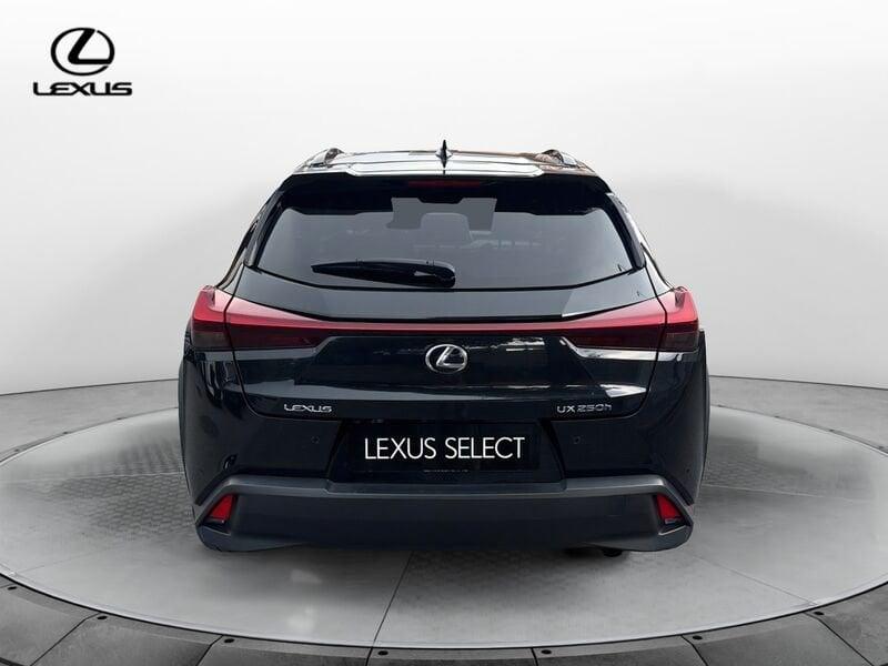 Lexus UX UX 250 Hybrid 4WD Midnight
