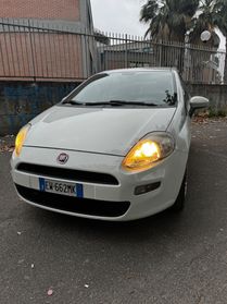 Fiat Punto 1.3 MJT II 75 CV 5 porte Street