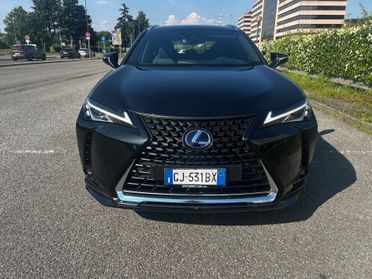 Lexus UX Hybrid 250 Exsecutive