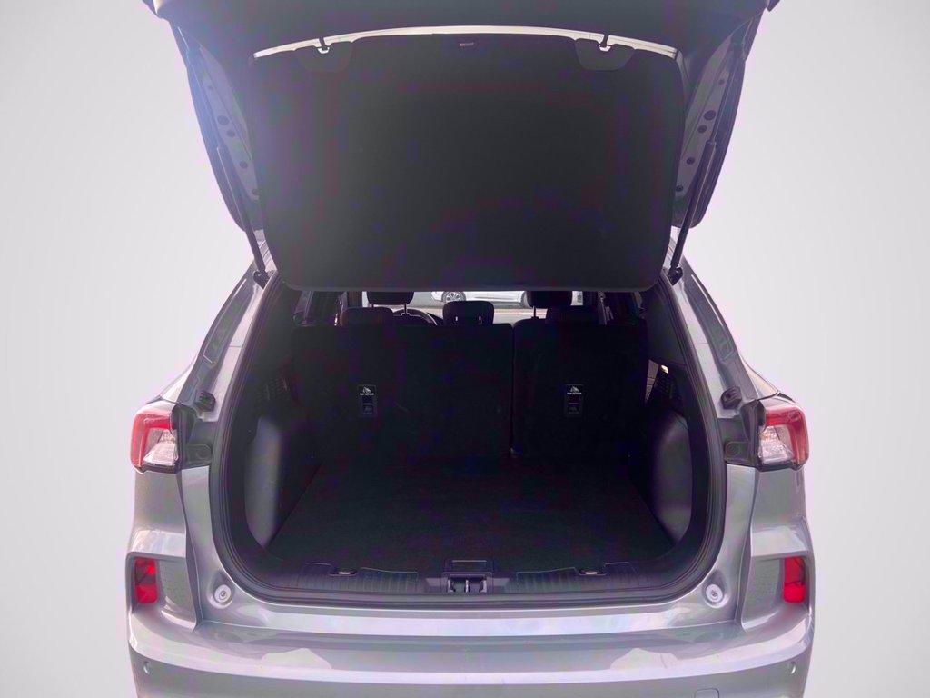 FORD Kuga 1.5 ecoblue ST-Line 2wd 120cv del 2022