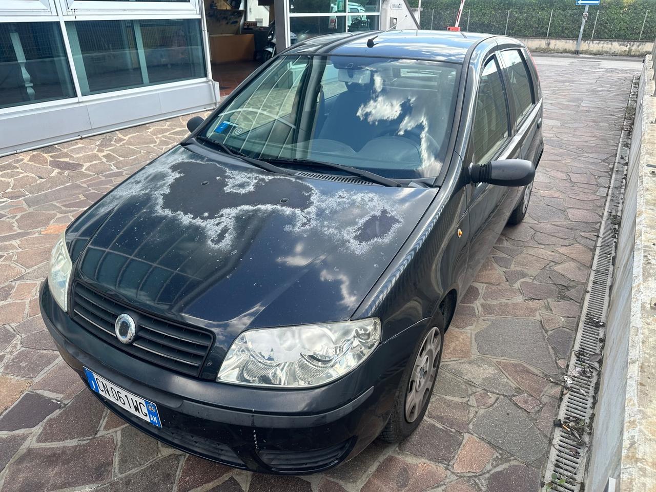Fiat Punto 1.2 5 porte Active Natural Power