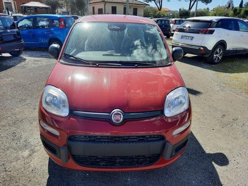 FIAT Pandina PANDA MY26 1.0 65CV HYBRID ICON